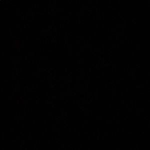 Meet your Posher, Allie